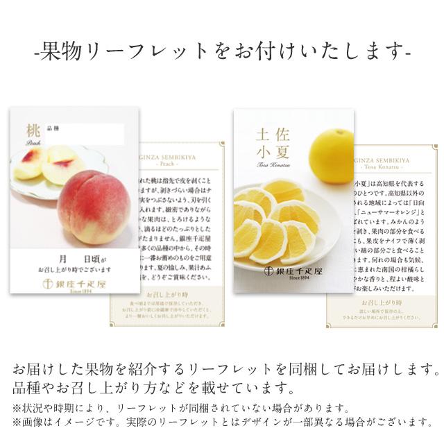 銀座千疋屋 ポイント2倍〜 お中元 夏ギフト 2026 フルーツ 詰め合わせ