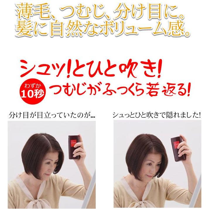 新発売の お得な2本セット シュッっとひとふき 分け目ふっくら マイ ヘアーレディ ｇ 最新人気 Zoetalentsolutions Com