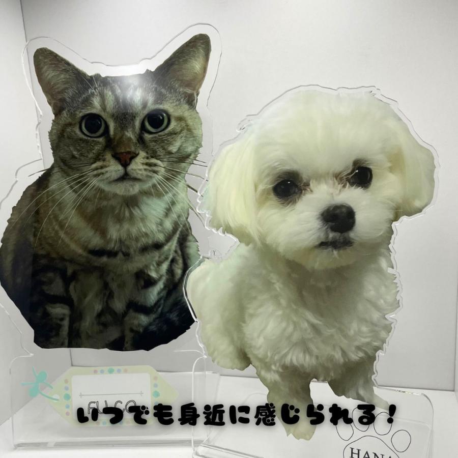 写真アクリルスタンド アクリルスタンド フォトスタンド ペット