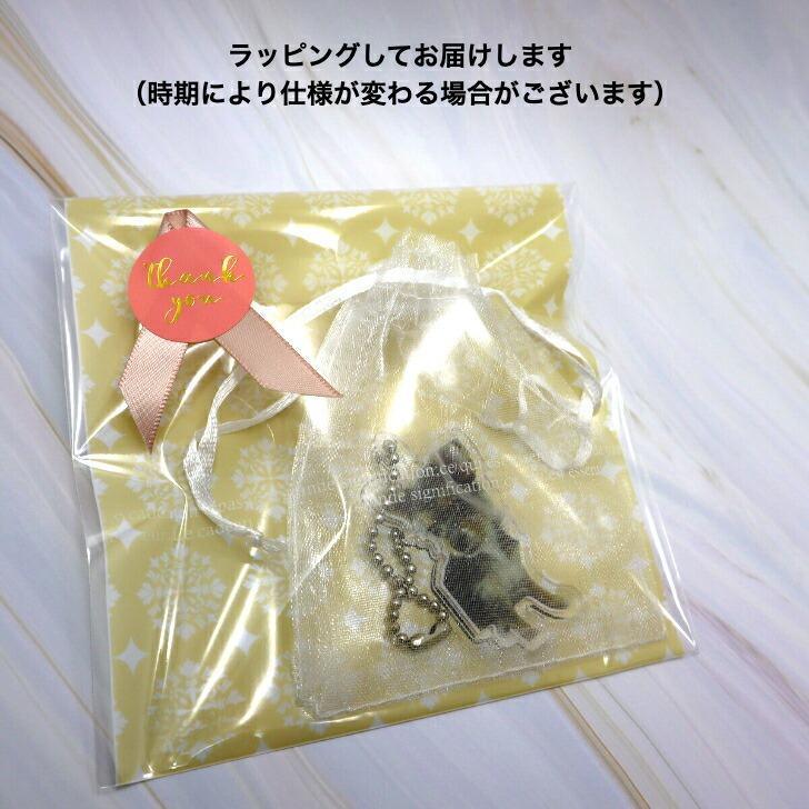 送料無料 写真 キーホルダー ペット 写真キーホルダー フォト