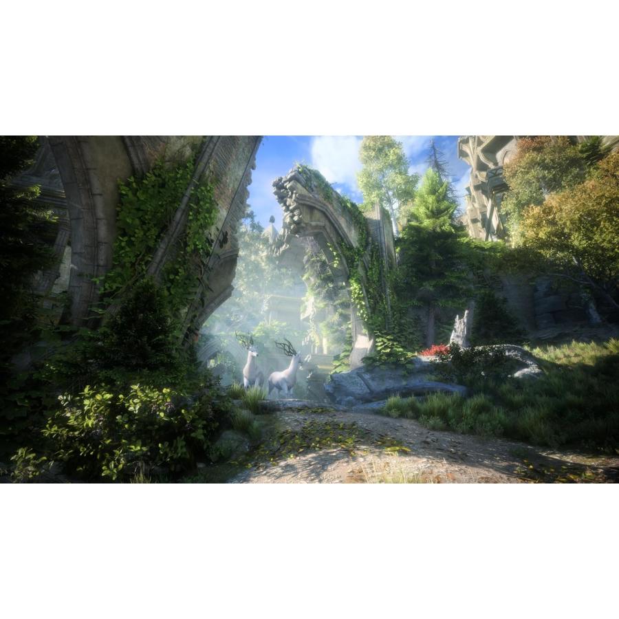 ＰＳ５　ドラゴンエイジ：ヴェイルの守護者　通常版（予約特典付）（２０２４年１０月３１日発売）【新品】【ポスト投函便送料無料】_3