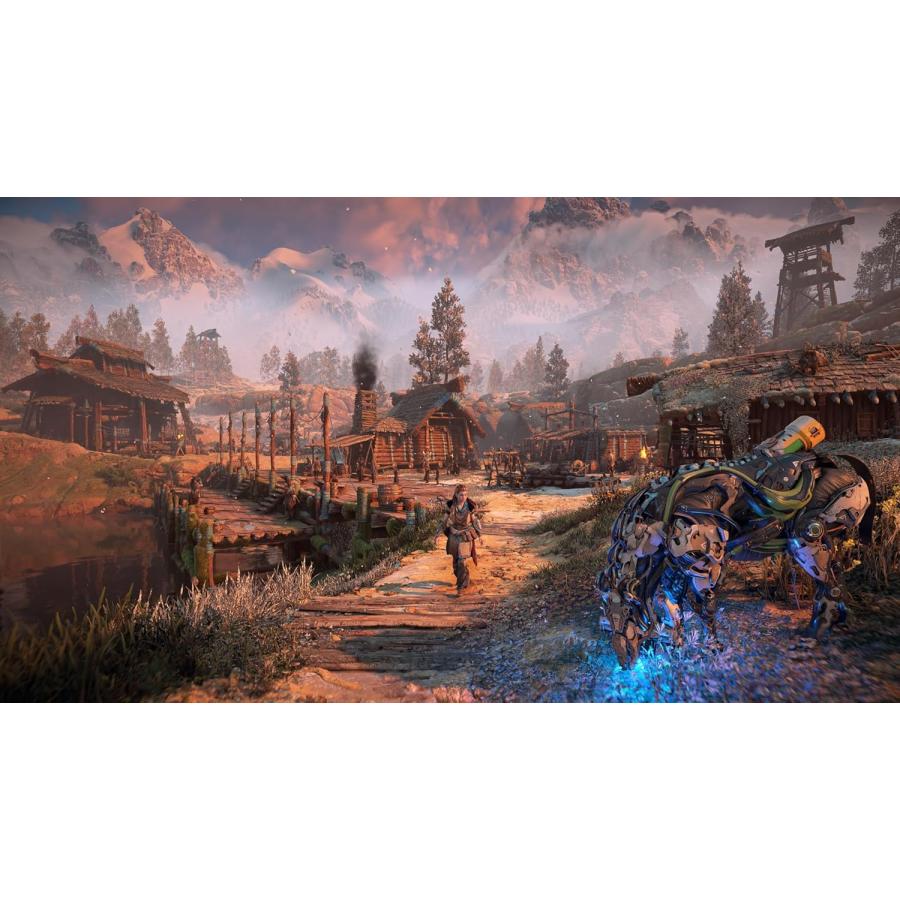Sony Interactive Entertainment 【取寄せ商品】PS5 Horizon Zero