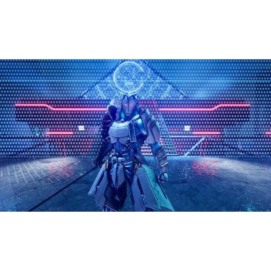 マイクロソフト（Microsoft） 【取寄せ商品】PS5 NINJA GAIDEN 4