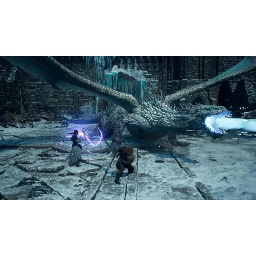 ＰＳ５　ドラゴンズドグマ２：ダークアリズン（早期購入特典付）（26/10/9発売）【新品】【ポスト投函便送料無料】 | ドラゴンズドグマ | 04