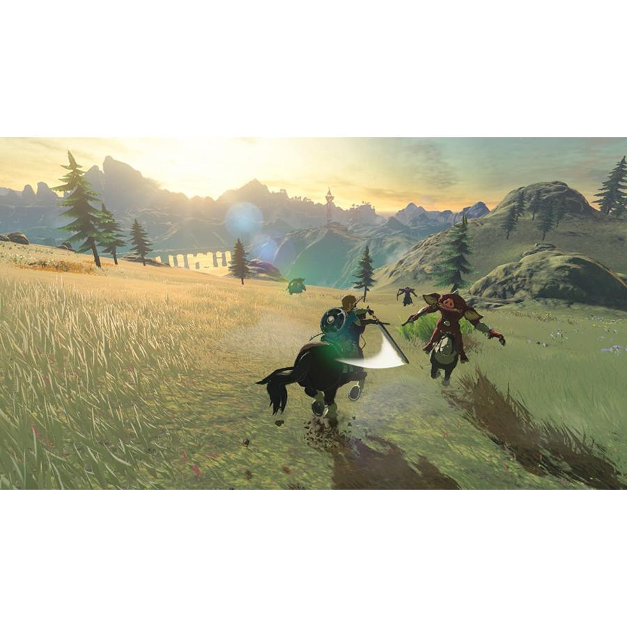 任天堂（Nintendo） Switch ゼルダの伝説 ブレスオブザワイルド＋