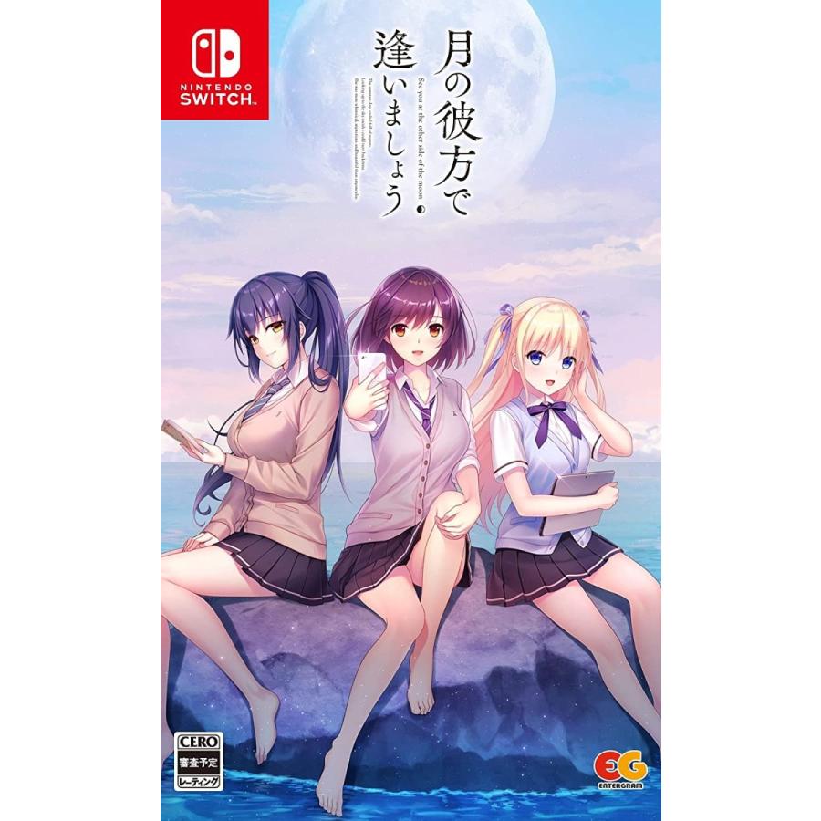 月の彼方で逢いましょう Nintendo Switch エンターグラム 【取寄せ商品】Switch 月の彼方で逢いましょう 通常版