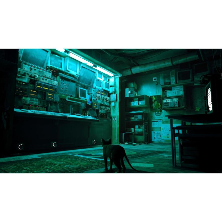 ハピネット Switch Stray コレクターズエディション（ストレイ）（初回