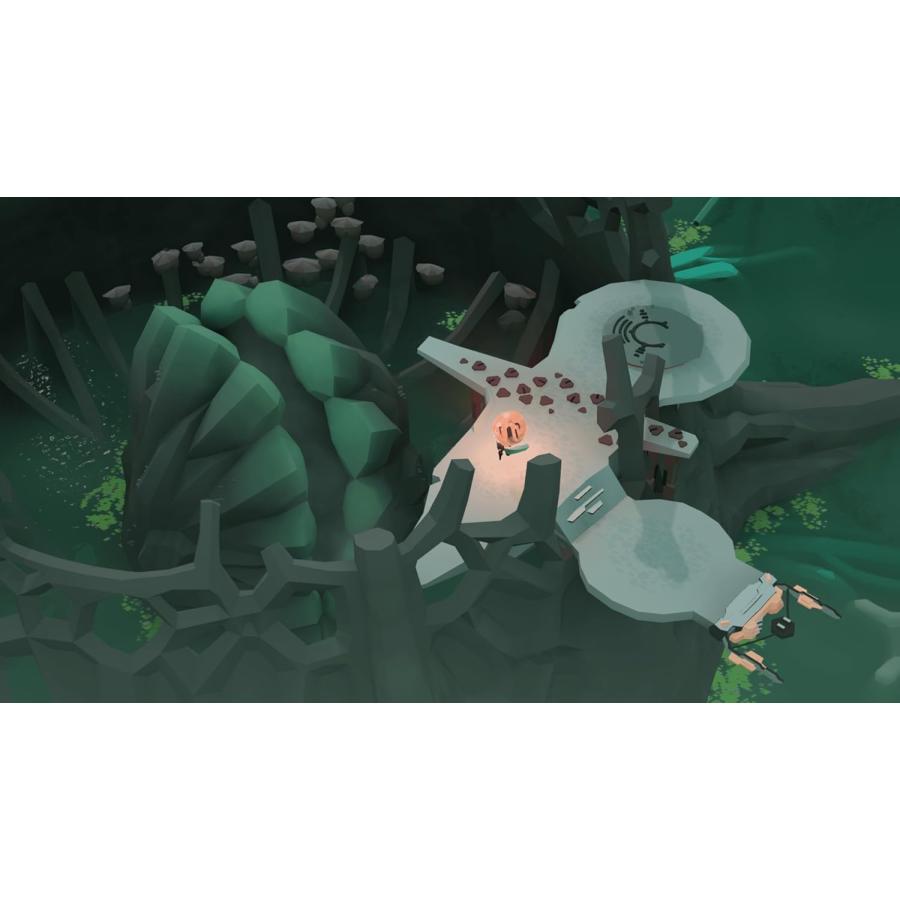 SUPERDELUXE GAMES（スーパーデラックスゲームス） Switch COCOON 通常