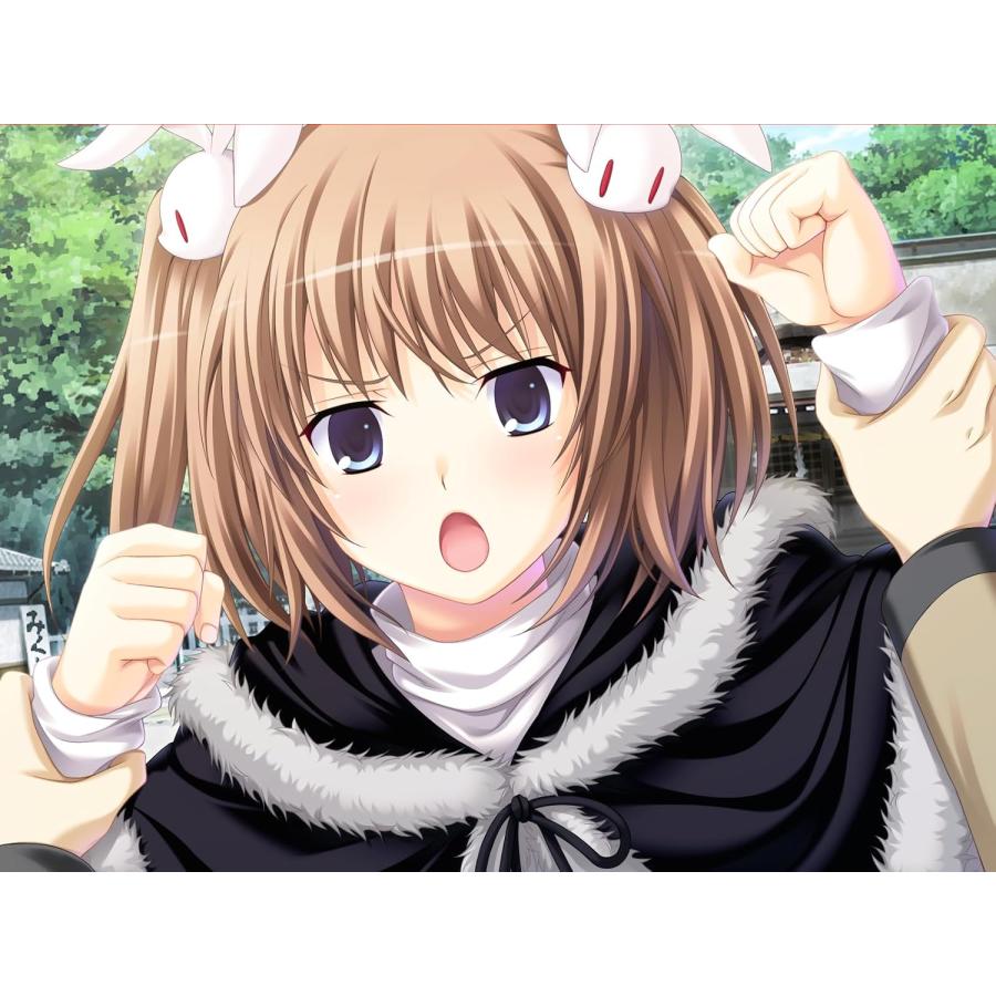 新品未開封bitter smile.ビタースマイル Switch 特典付き エンターグラム 【取寄せ商品】Switch bitter smile. 通常版