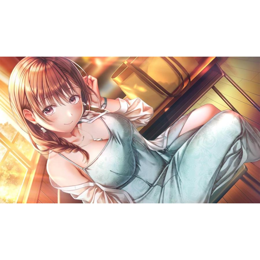 エンターグラム Switch 制服カノジョ2.5 通常版（2025年8月28日