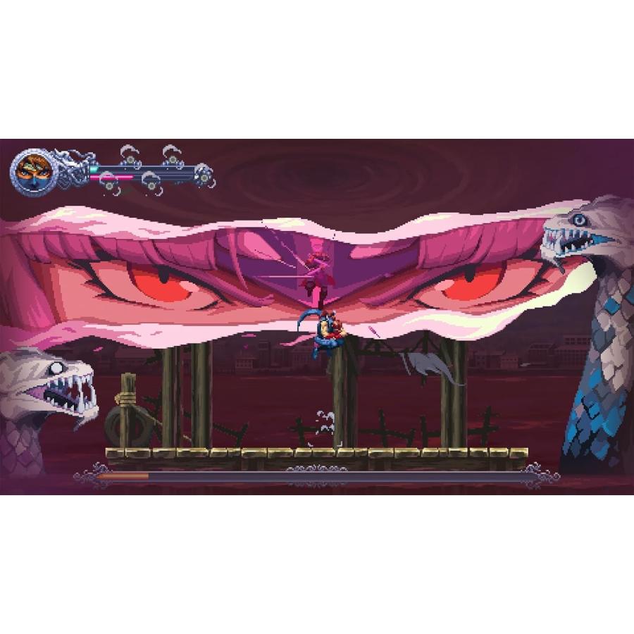 Clouded Leopard Entertainment Switch NINJA GAIDEN:Regebound