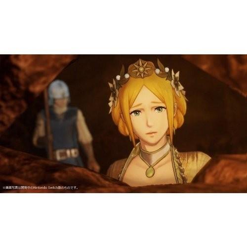 ３ＤＳ　ファイアーエムブレム無双　通常版（New3DS/New3DSLL/New2DSLL専用ソフト）（２０１７年９月２８日発売）【新品】■ |  | 05