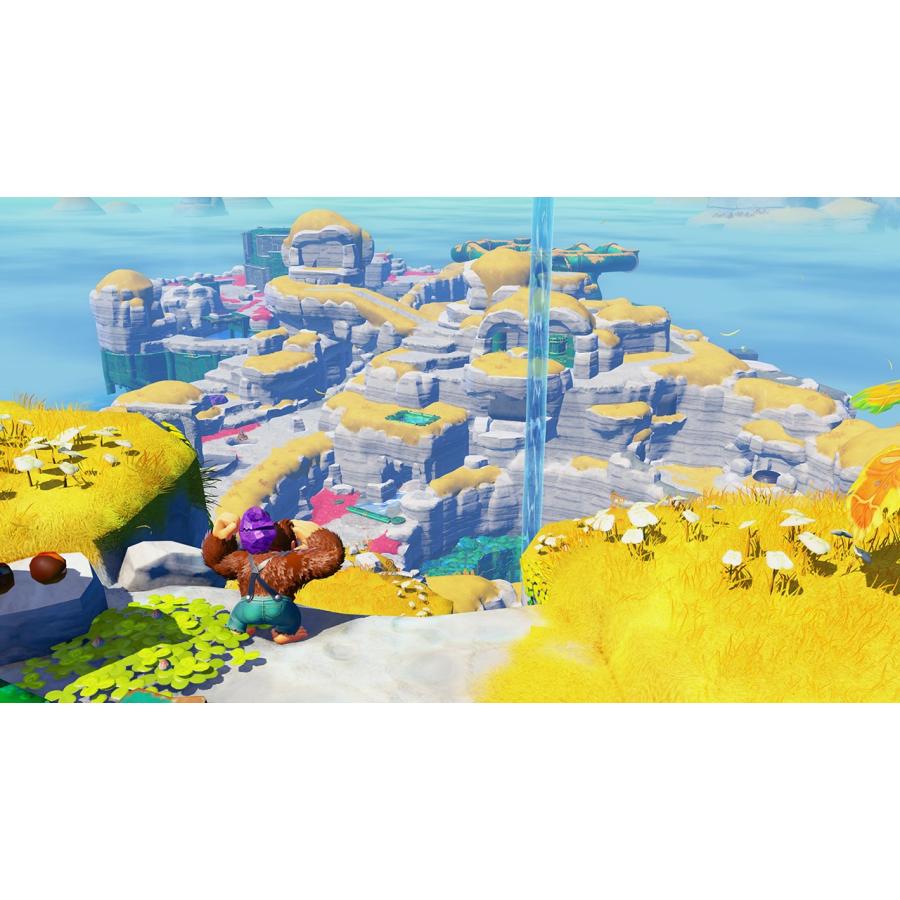 Switch 2　ドンキーコング　バナンザ（２０２５年７月１７日発売）【新品】【ポスト投函便送料無料】 | 任天堂 | 01