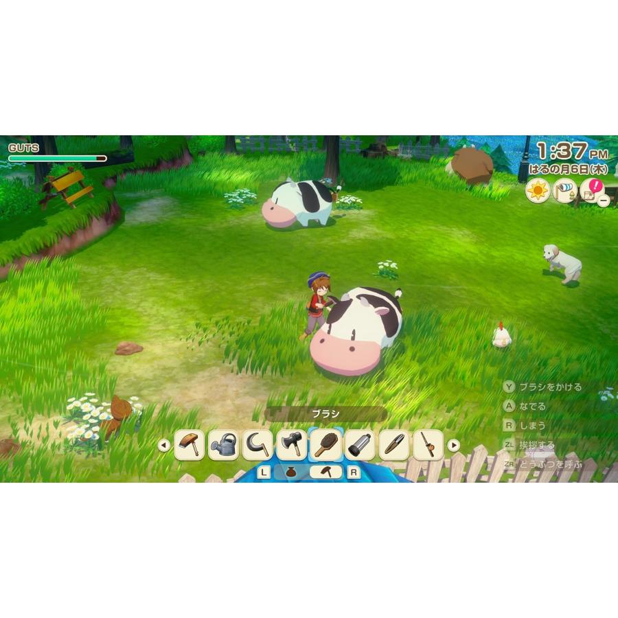 牧場物語 風のグランドバザール Nintendo Switch 2エディション Amazon.co.jp: 牧場物語 Let's! 風のグランドバザール Nintendo Switch
