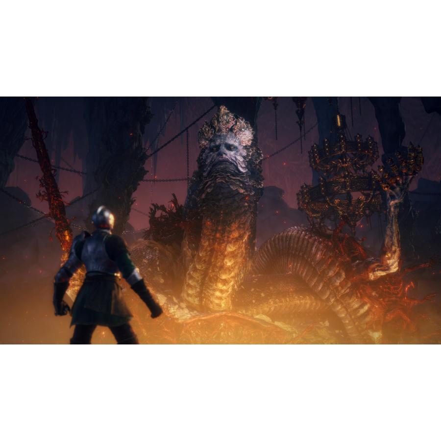Switch 2　ELDEN RING Tarnished Edition（エルデンリング　ターニッシュドエディション）（特装版：数量限定特典付）【新品】【ポスト投函便送料無料】 | フロム・ソフトウェア | 04