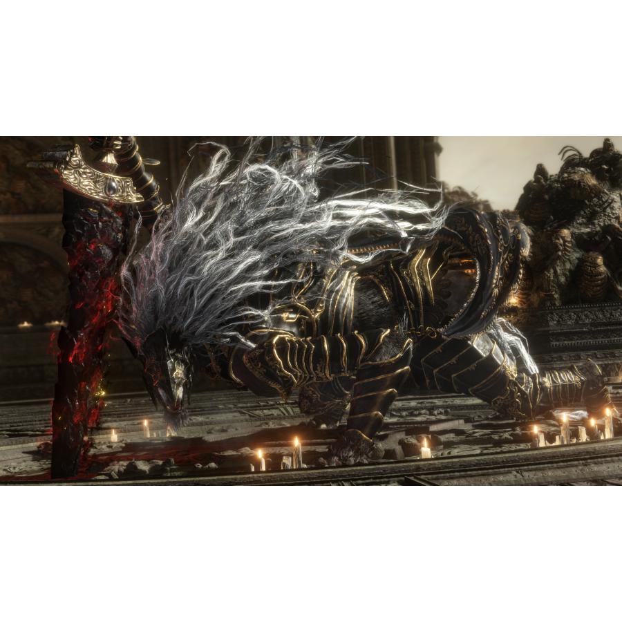 Switch 2　ELDEN RING Tarnished Edition（エルデンリング　ターニッシュドエディション）（特装版：数量限定特典付）【新品】【ポスト投函便送料無料】 | フロム・ソフトウェア | 05
