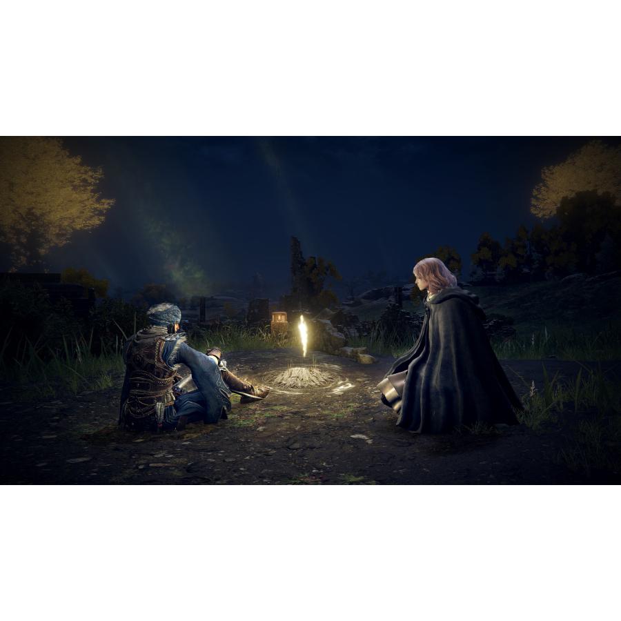Switch 2　ELDEN RING Tarnished Edition（エルデンリング　ターニッシュドエディション）（特装版：数量限定特典付）【新品】【ポスト投函便送料無料】 | フロム・ソフトウェア | 06