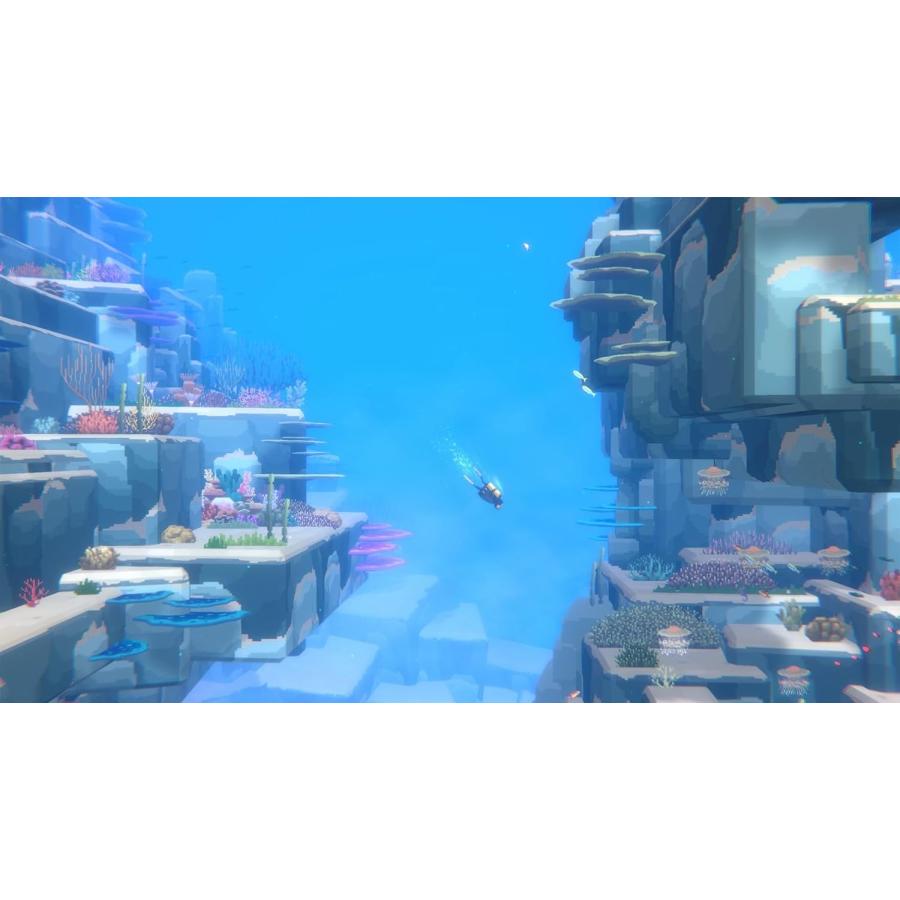 Switch 2　デイヴ・ザ・ダイバー COMPLETE EDITION（26/10/8発売）【新品】【ポスト投函便送料無料】 | アークシステムワークス | 01