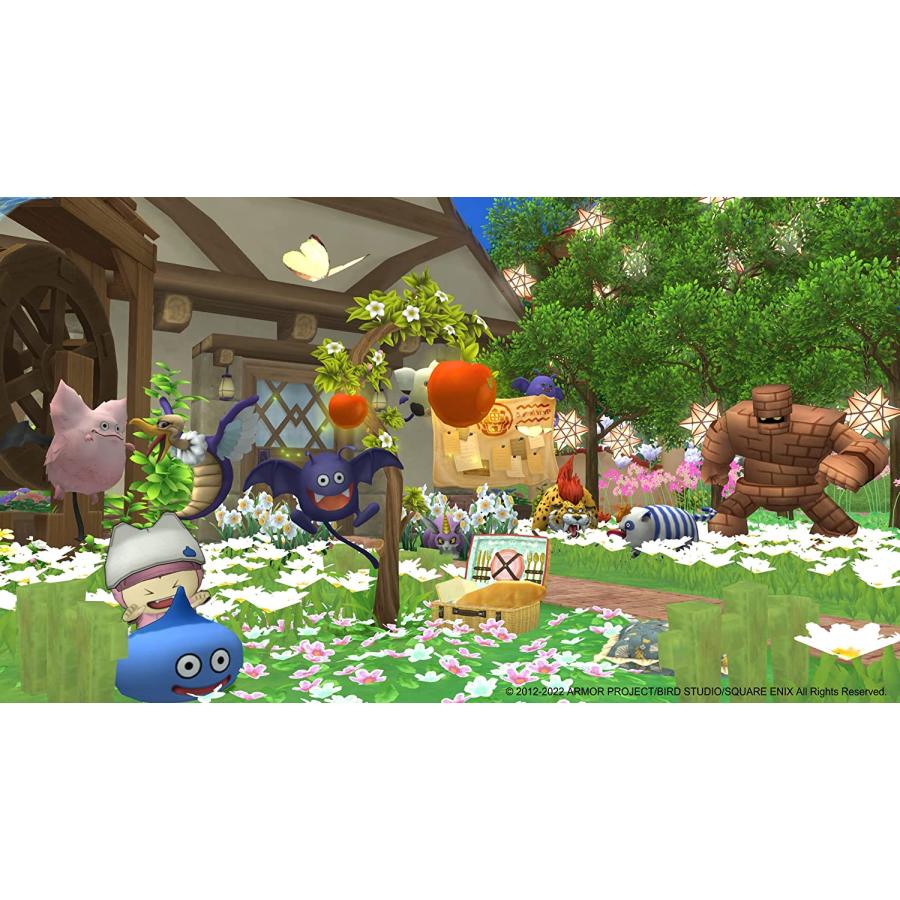 ＰＳ４　ドラゴンクエストXオンライン　オールインワンパッケージ version 1-6（購入特典付・2022年10月20日発売）【新品】【ネコポス送料無料】 | ドラゴンクエスト | 03