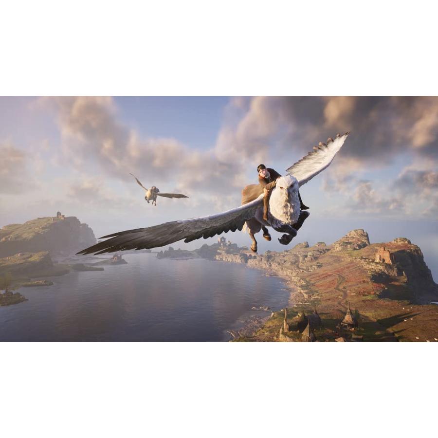 【取寄せ商品】ＰＳ４　ホグワーツ・レガシー　通常版（２０２３年５月５日発売）【新品】 | ワーナー・ブラザース | 03