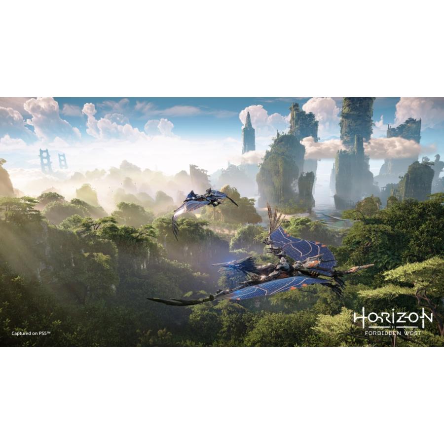 【取寄せ商品】ＰＳ５　ホライゾン　フォービドゥン　ウエスト　通常版（２０２２年２月１８日発売）【新品】 |  | 03