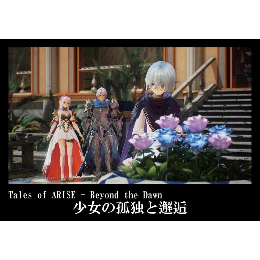 【取寄せ商品】ＰＳ５　Tales of ARISE ーBeyond the Dawn Edition（テイルズオブアライズビヨンドザドーンエディション）【新品】【ネコポス送料無料】 | バンダイナムコエンターテインメント | 02