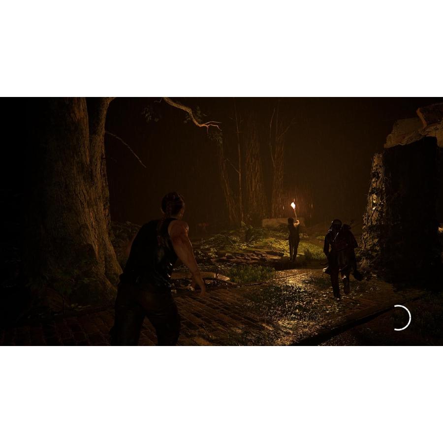 【取寄せ商品】ＰＳ５　The Last of Us Part II Remasterd（ラストオブアス２　リマスタード）（Z指定:18才以上対象）（２０２４年１月１９日発売）【新品】 | Sony Interactive Entertainment | 06