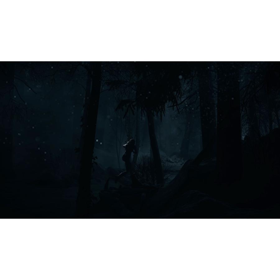 【取寄せ商品】ＰＳ５　Until Dawnー惨劇の山荘ー（アンティルドーン惨劇の山荘）（Ｚ指定：１８才以上対象）（２０２４年１０月４日発売）【新品】 | Sony Interactive Entertainment | 13