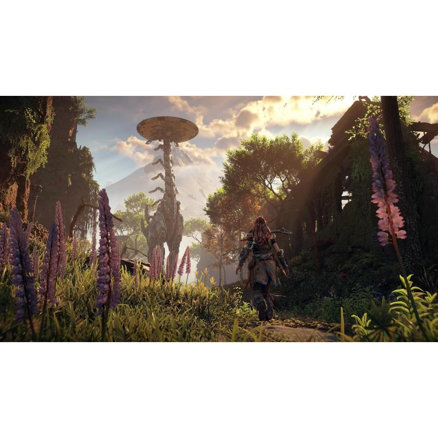 【取寄せ商品】ＰＳ５　Horizon Zero Dawn Remasterd（ホライゾンゼロドーンリマスター）（特典付）（２０２４年１０月３１日発売）【新品】 | Sony Interactive Entertainment | 06