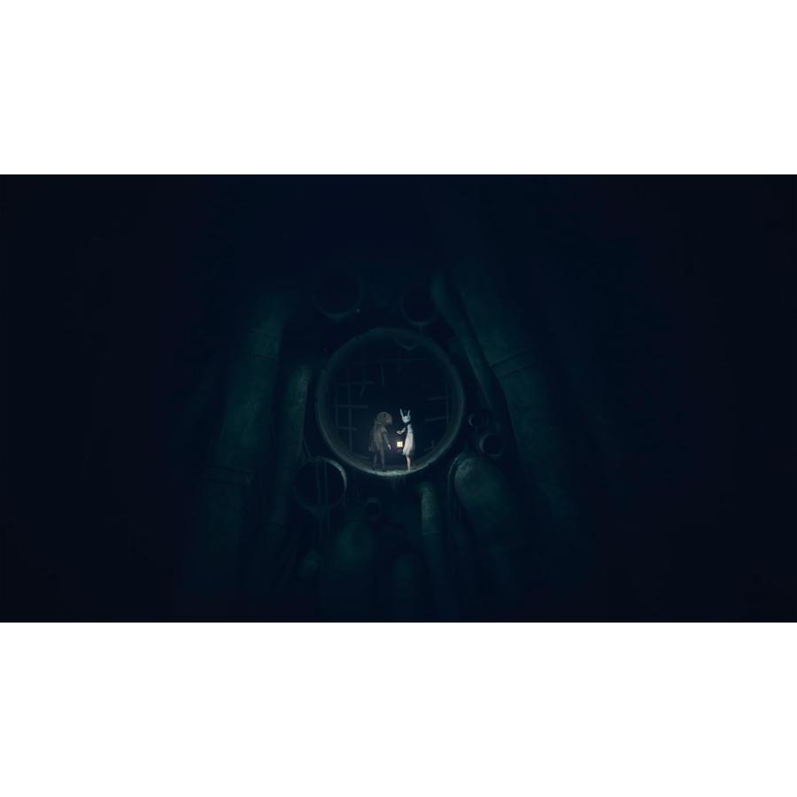 ＰＳ５　REANIMAL　通常版（リアニマル）（26/2/13発売）【新品】【ポスト投函便送料無料】 | THQ Nordic | 02