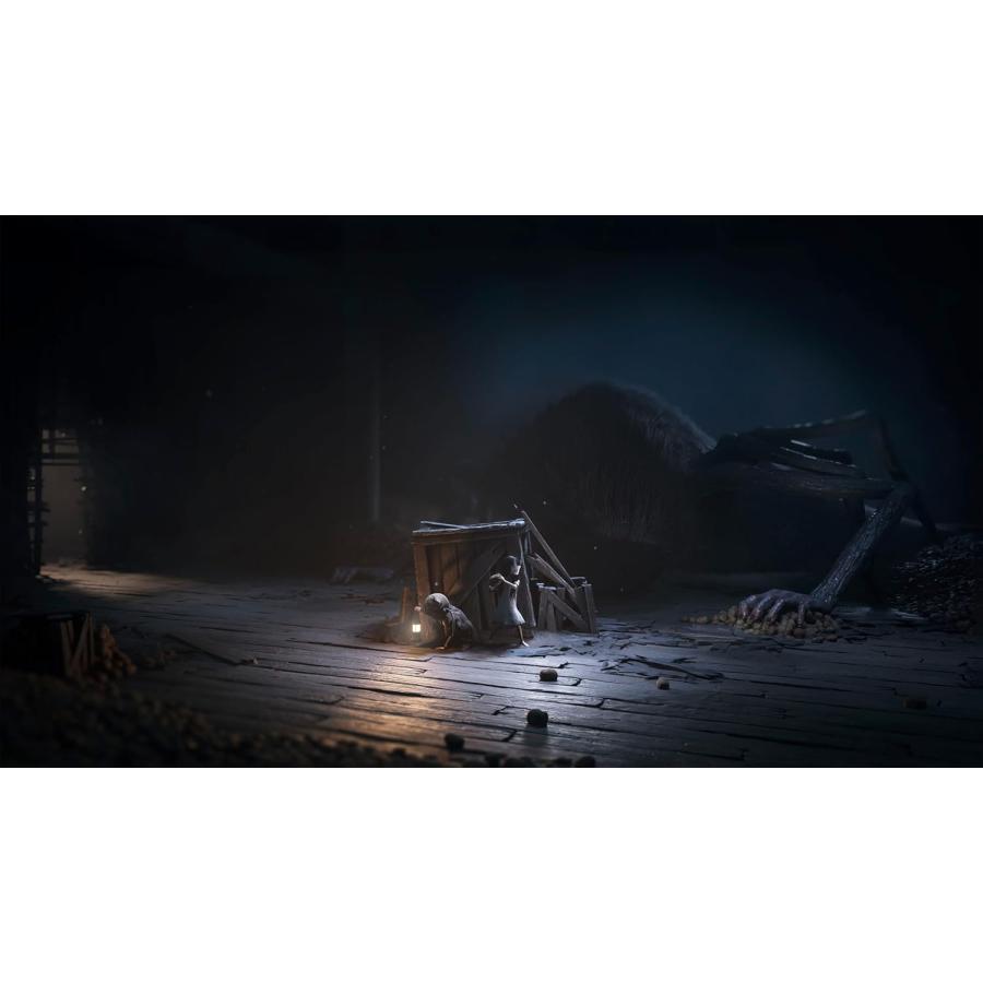 ＰＳ５　REANIMAL　通常版（リアニマル）（26/2/13発売）【新品】【ポスト投函便送料無料】 | THQ Nordic | 04