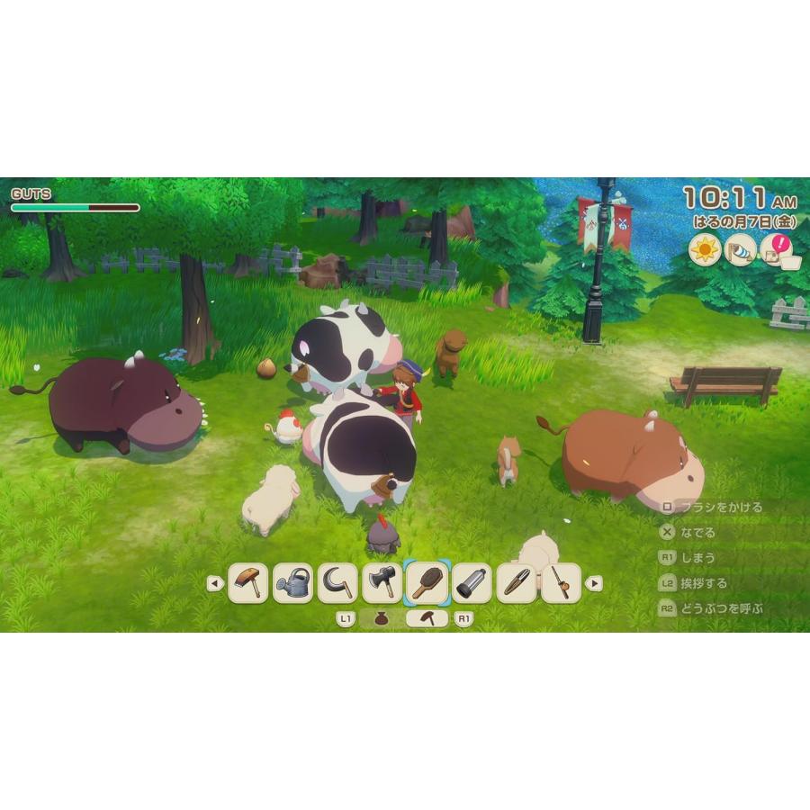 【取寄せ商品】ＰＳ５　牧場物語 Let's！風のグランドバザール（26/5/28発売）【新品】【ポスト投函便送料無料】 | マーベラス | 04