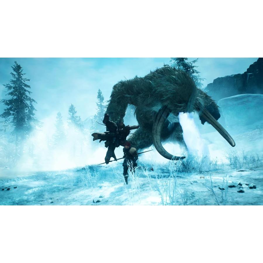 ＰＳ５　ドラゴンズドグマ２：ダークアリズン（早期購入特典付）（26/10/9発売）【新品】【ポスト投函便送料無料】 | ドラゴンズドグマ | 03