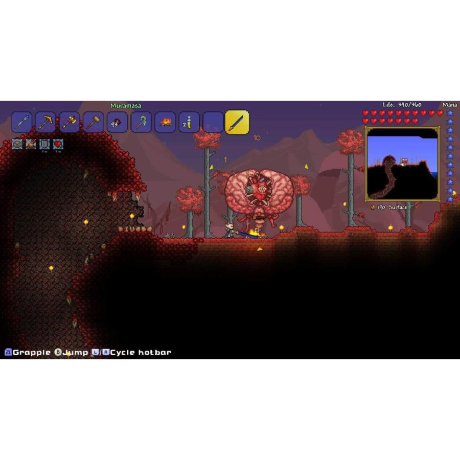 Swicth　テラリア（２０１９年１２月１９日発売）【新品】【ネコポス送料無料】 | スパイク・チュンソフト | 05