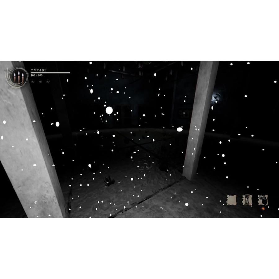 Switch Shadow Corridor 2 雨ノ四葩 Special Edition（シャドー