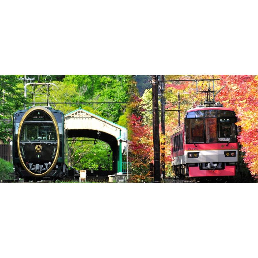 ソニックパワード Switch 鉄道にっぽん！路線たび 叡山電車編 ベスト