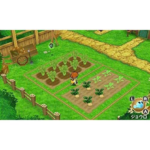 ３ＤＳ　ポポロクロイス物語（２０１５年６月１８日発売）【新品】【ポスト投函便送料無料】■ | マーベラス | 11
