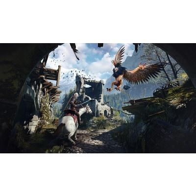 PS4 ウィッチャー3 ワイルドハント ゲームオブザイヤー