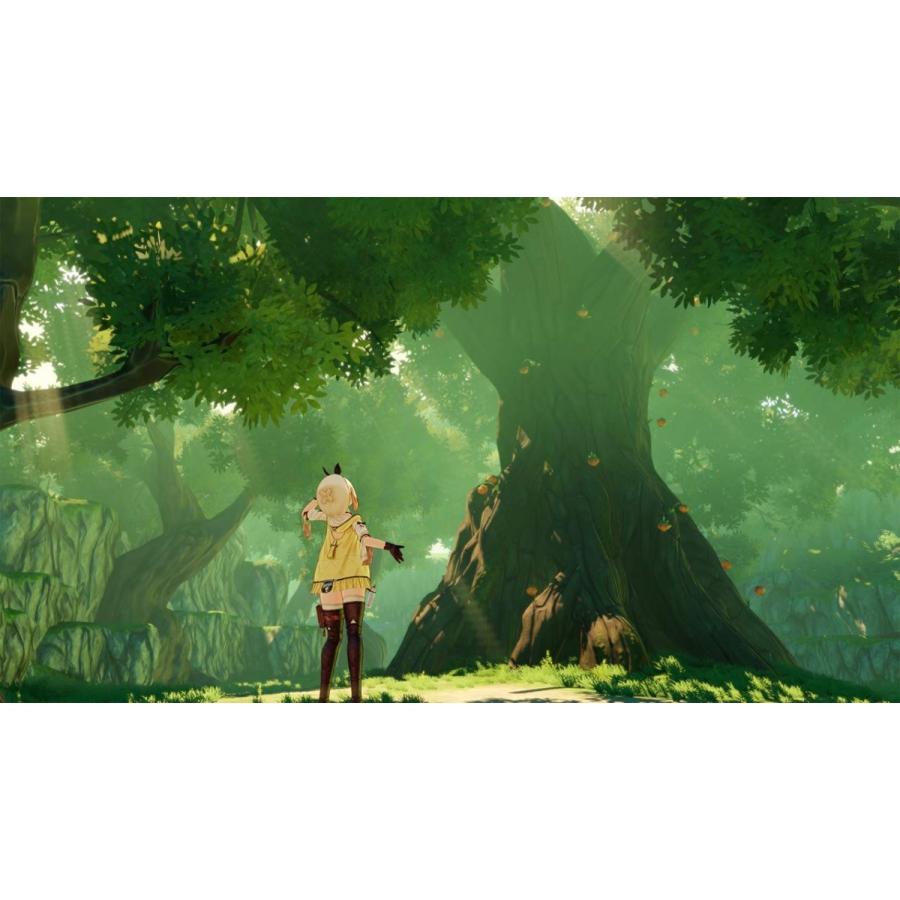 ＰＳ４　ライザのアトリエ〜常闇の女王と秘密の隠れ家〜　通常版（パッケージ版封入特典付：有効期限は商品情報欄参照）（2019年9月26日発売）【新品】 | コーエーテクモゲームス | 05