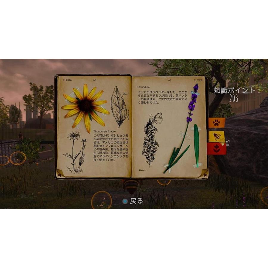 【取寄せ商品】ＰＳ４　ミツバチ　シミュレーター（２０２０年４月２３日発売）【新品】 | オーイズミ・アミュージオ | 01
