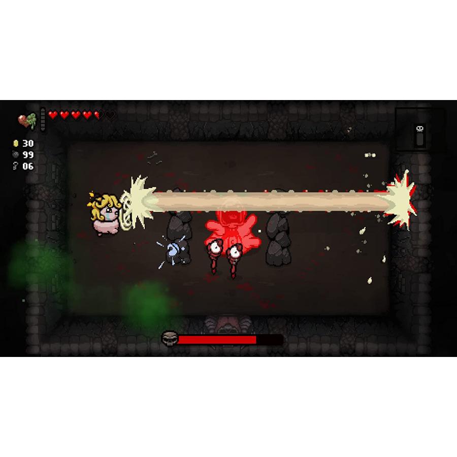 ＰＳ４　The Binding of Isaac:Repentance（２０２２年１１月２４日発売）【新品】【ポスト投函便送料無料】 | pikii | 10