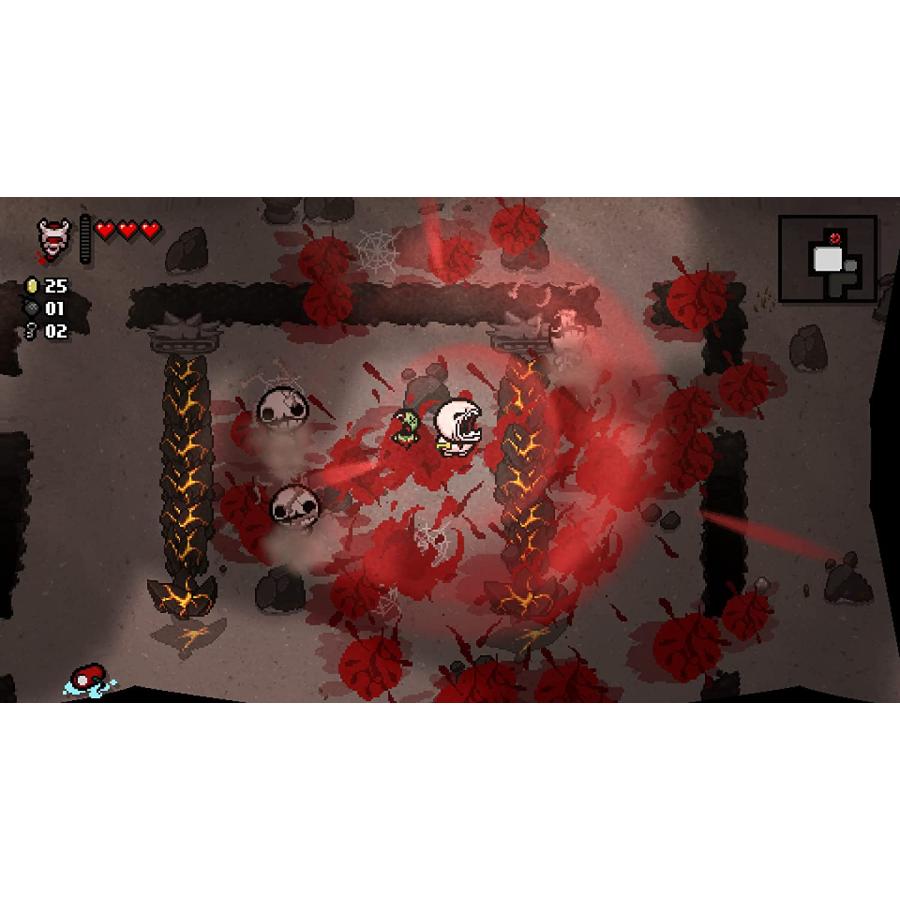 ＰＳ４　The Binding of Isaac:Repentance（２０２２年１１月２４日発売）【新品】【ポスト投函便送料無料】 | pikii | 09