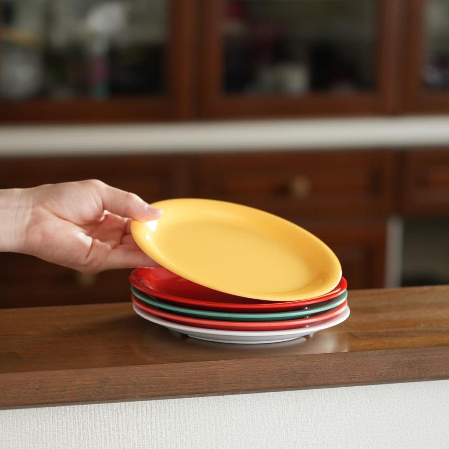 Thunder Group リムプレート 直径23.2cm 丈夫な業務用 メラミン食器 中