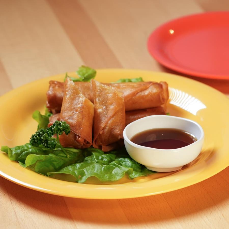 Thunder Group リムプレート 直径23.2cm 丈夫な業務用 メラミン食器 中