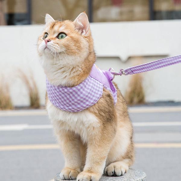 ハーネス リード 猫 通信販売 牽引縄 ペット リードハーネス セット おしゃれ 抜けない 猫用ハーネス 散歩 ハーネスリード ネコ 脱げない