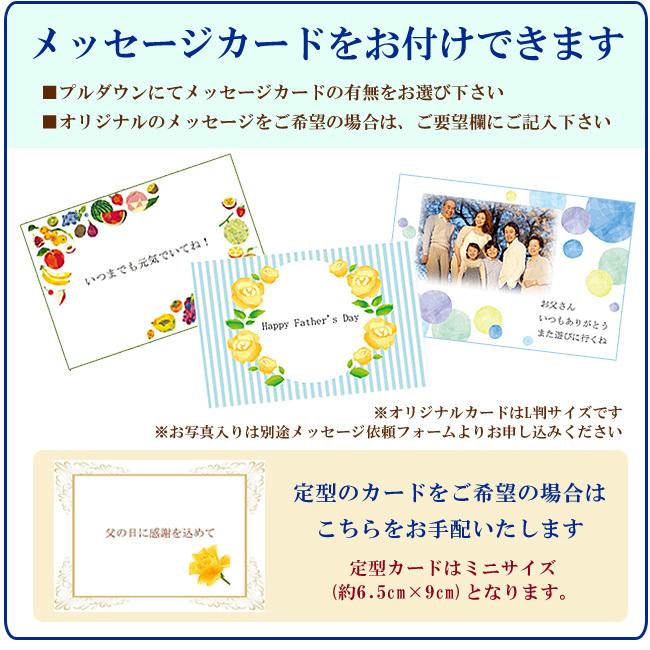 父の日ギフト ラッピング付 愛知蒲郡産高級温室みかんSサイズ【秀品】（化粧箱入り）フルーツ くだもの｜1999-shomeido｜02