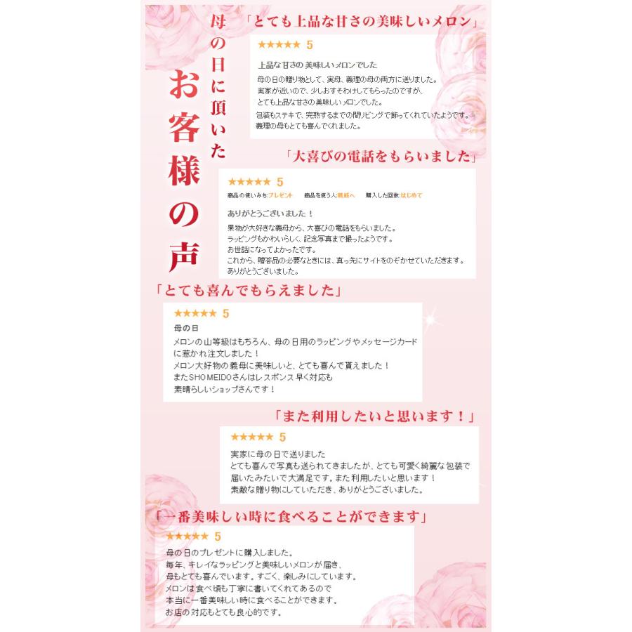 可能性 剃る コロニー 母 の 日 メッセージ カード 義母 剪断 鳥 家具