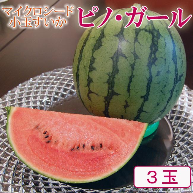 丸ごと食べられるマイクロシード小玉すいか ピノ ガール 秀品 3個 Lサイズ 小さい種 スイカ 西瓜 果物 フルーツ 薄い皮 Pinol3 ギフト フルーツ Shomeido 通販 Yahoo ショッピング