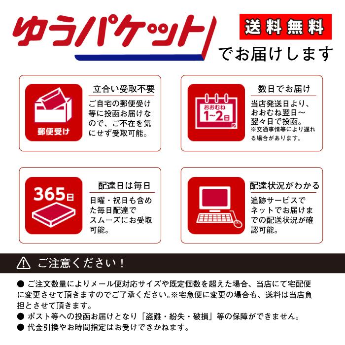 ハンカチ メンズ アウトレット 5枚セット 綿100% 紳士用 ポイント消化|19inch|03