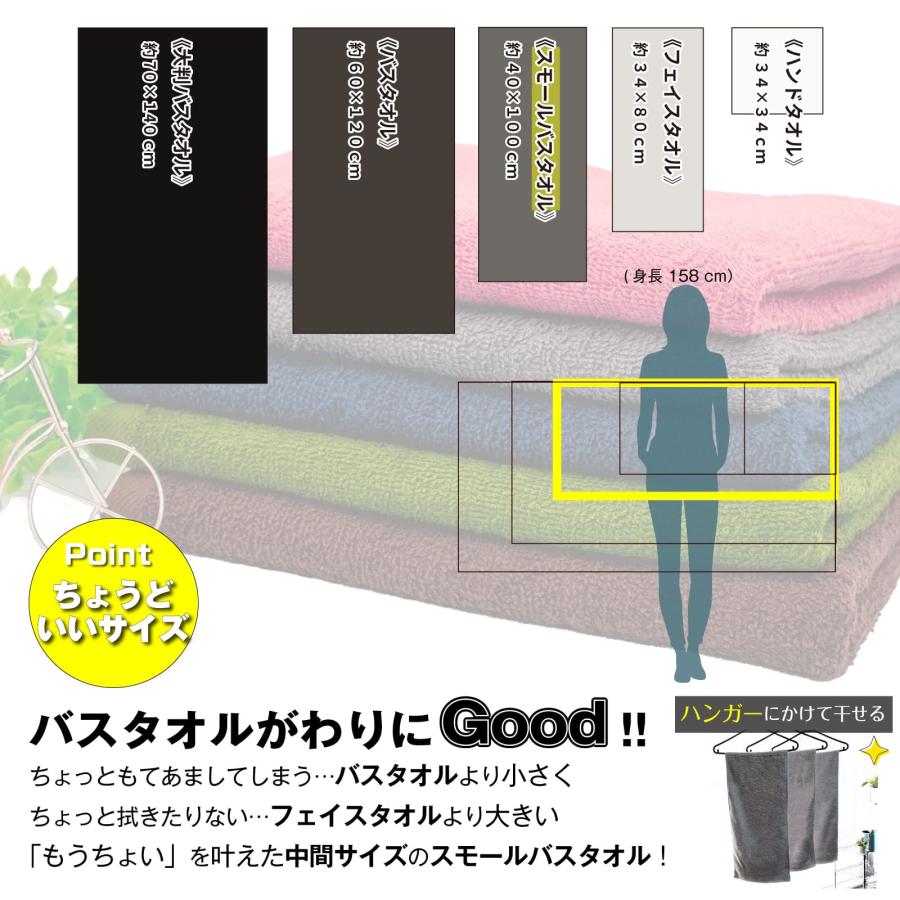 スモールバスタオル 送料無料 おためし 1枚 ポイント消化 綿100 